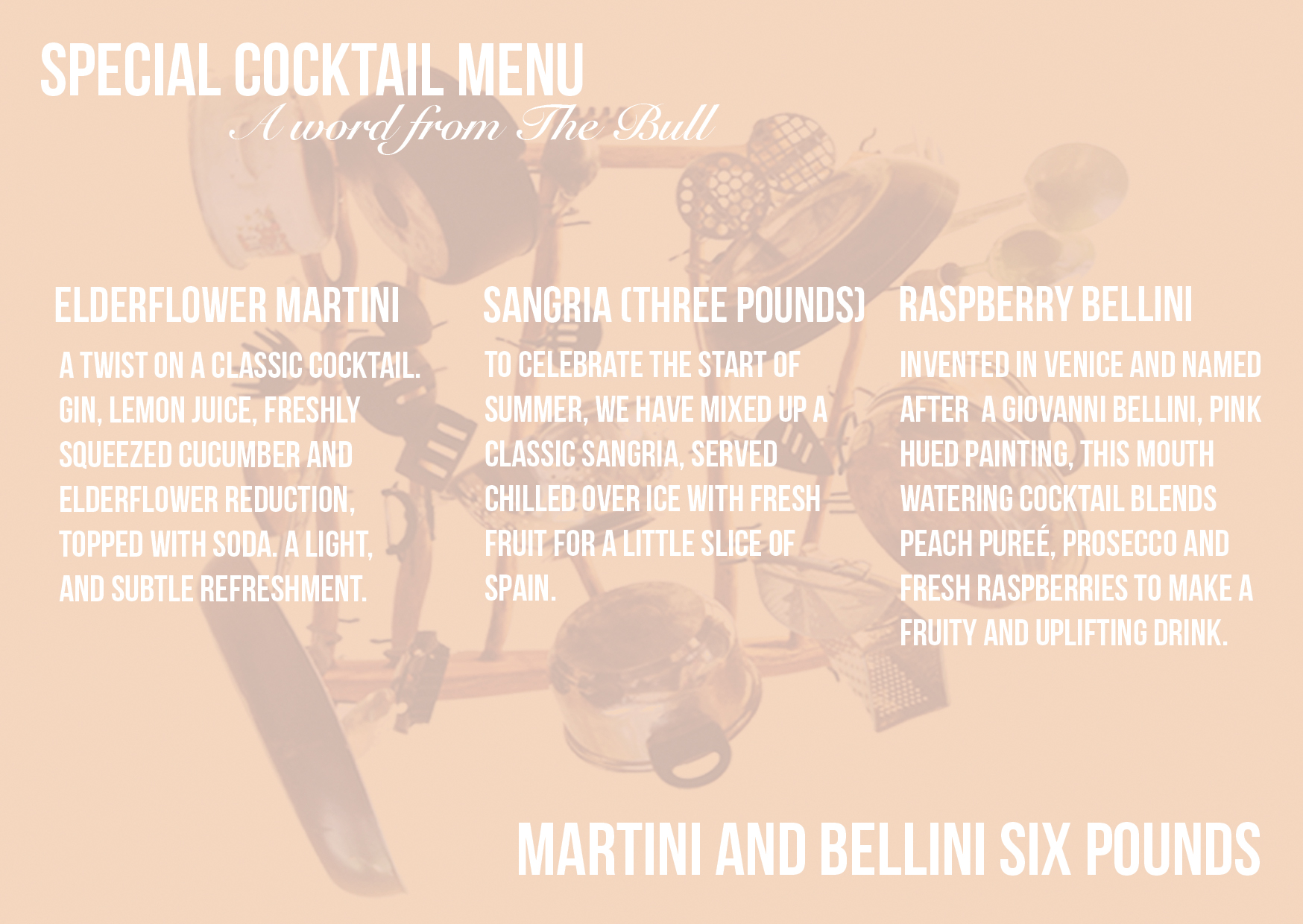 Bull 10 - Flyer Back